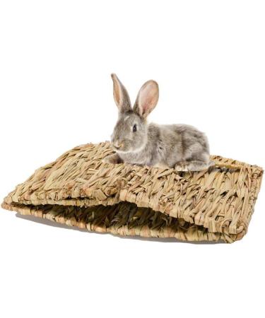 MODEHUAYING Natural Seagrass Mat Bed Hideaway Toy Hand Woven for Rabbit Guinea Pig Chinchilla Ferret 30 x 20 x 20 cm (L x W x H) - Buy Online on GoSupps.com
