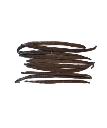 Grade A Bourbon Vanilla Beans - Premium Gourmet Pods for Baking, Brewing, and Cooking - 10 Count Pack for Homemade Vanilla Extract and Bean Paste - Buy Online on GoSupps.com