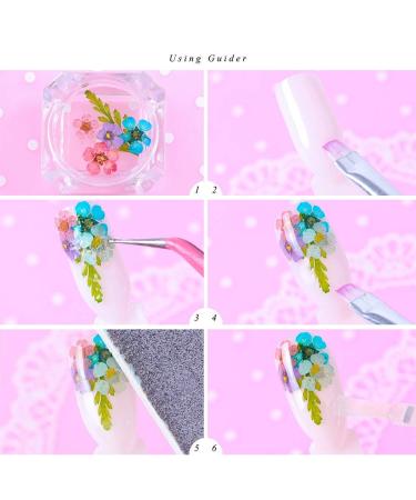 KISSBUTY 12 Colors Dry Daffodils Flowers Box for Nail Art - Real Natural Nail Decor Sticker - 3D Applique Manicure Supplies - Buy Online on GoSupps.com