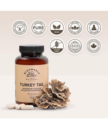Turkey Tail Mushroom Capsules by Bloomable I Gut Health and Immunity (120 capsules) 120 count (Pack of 1) - Buy Online on GoSupps.com