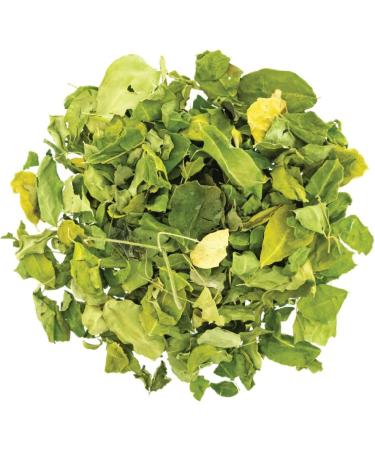 Moringa Leaves Tea Organic (Moringa oleifera) Loose Leaf Herbal Tea Caffeine Free Organic 200gm or 7.05oz - Buy Online on GoSupps.com