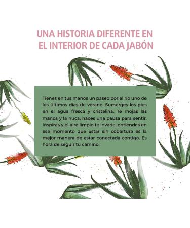  enna E-NN LOVE Natural Vegan Soap Be Calm Aloe Vera Recovery and Moisturizing Repair 100g Made in Spain - Buy Online on GoSupps.com