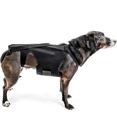 ALGONETO Dog Back Brace for IVDD Pet Dog Back Brace Comfortable Full Body Harness Dog Clothing Dog Back Protector L - Buy Online on GoSupps.com