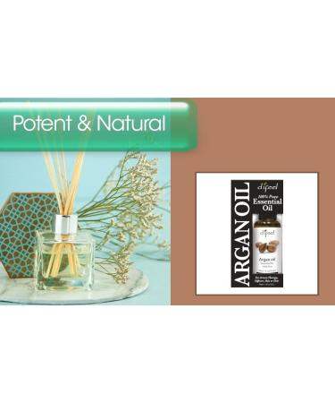 Difeel 100% Pure Essential Oil - Argan Oil Boxed 1 oz. - Buy Online on GoSupps.com