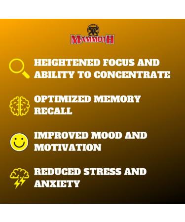 Mammoth NeuroStim 60 Serve Caffeine & Nootropic Brain Supplement Formula Energy & Focus Mental & Physical Boost Increased Cognition Lion s Mane Mushroom Clear Raspberry - Buy Online on GoSupps.com
