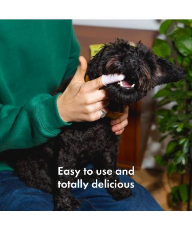 Itch | Enzymatic Dental Toothpaste for Cats & Dogs | Prevents Plaque Tartar and Stinky Breath | Protects Gums | 1x 30g 30 g (Pack of 1) - Buy Online on GoSupps.com