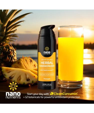 Herbal Harmonizer with CleanCurcumin(TM) - Multi Botanical Antioxidants Supplement - Water Soluble - Nano Curcumin - Holistic Wellness Defender - Healthy Drink Mix (4 fl.oz Pineapple) Pineapple 1 Count (Pack of 1) - Buy Online on GoSupps.com