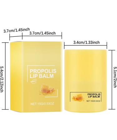  Beslibate Moisturizing Lip Balm Bee Lip Butter Bee Lip Balm 12 Hours Long Lasting Hydration Moisturizing Dried Lips for Daily Use 15g Lipmask-3 - Buy Online on GoSupps.com