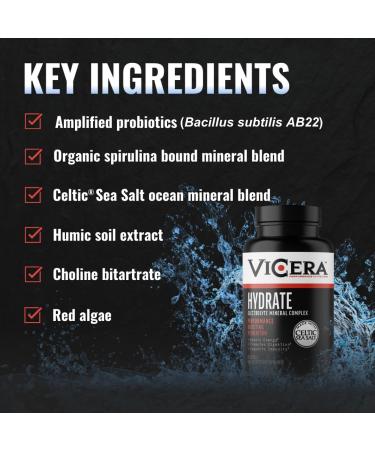 ViCera Electrolyte Capsules Hydration Supplements with Celtic Sea Salt Magnesium Calcium Choline Potassium Probiotics and Trace Minerals Gluten Free Electrolytes Non GMO 30 Servings - Buy Online on GoSupps.com