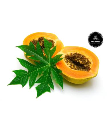 Naturevibe Botanicals Papaya Leaf Cut & Sifted - 1lb (16 oz) | Pure & Organic - Buy Online on GoSupps.com
