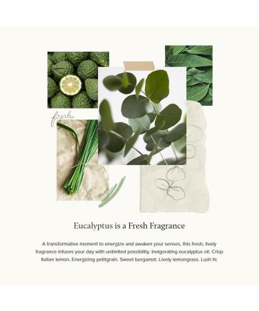Thymes Eucalyptus Bar Soap - 6 Oz | Refreshing Eucalyptus Scent | International Shipping Available - Buy Online on GoSupps.com