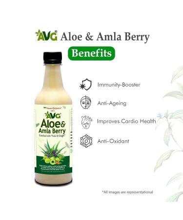 AVG Health Organics Aloe & Amla Berry Aloevera & Amla Juice with Ashwagandha Immunity Booster Natural Detox Sugar Free 500ML | Pack of 2 - Buy Online on GoSupps.com