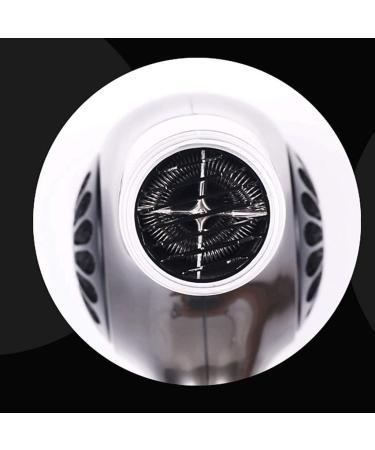 Professional Hair Dryer with Diffuser Ionic Conditioning - Powerful Fast Hairdryer Blow Dryer/B (C) - Buy Online on GoSupps.com