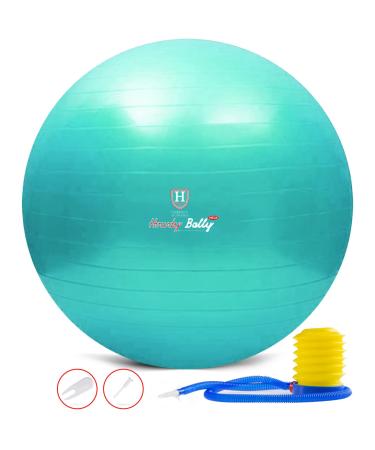 Harrison Howard Mega Horse Play Ball Anti-Burst Giant Horse Ball Horse Soccer Ball 25" Turquoise