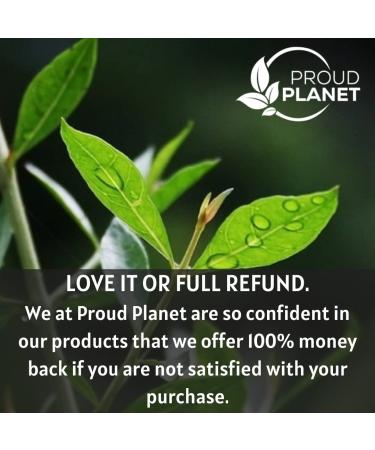 USDA Certified Organic Henna Powder for Hair Dye - 8oz | Natural Lawsonia Inermis Mehndi Powder by Proud Planet - Buy Online on GoSupps.com