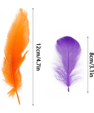 Coceca 300pcs Colorful Feathers for DIY Craft, Wedding, and Party Decor - Buy Online on GoSupps.com