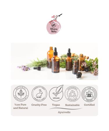 Hikona Heka Natural Carrier Oil Set Pure Shea Butter Mango Oil Coconut Oil for Skin Hair Body Moisturizing Massage 1.7 fl oz Each 3-Pack - Buy Online on GoSupps.com