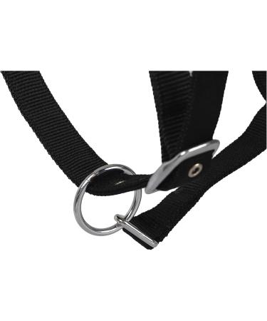 Buy RL24 Halter with Plush Padding - BASICLINE in 6 Colors for Shetland Pony Thoroughbred & Warmblood | Black Thoroughbred - Buy Online on GoSupps.com