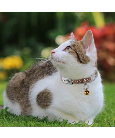 Tagme Cat Neck Band with Name & Address | Safe Closure Cat Necklace | 2 Pack Brown (18cm-30cm) | International Shipping - Buy Online on GoSupps.com