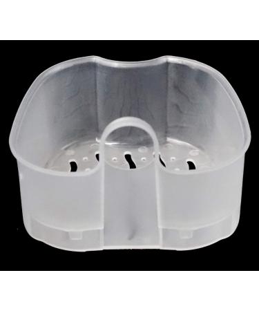 Buy Hualong Dalance Box - Dental Prosthesis & False Teeth Storage Box with Hanging Net - Green | International Shipping Available - Buy Online on GoSupps.com