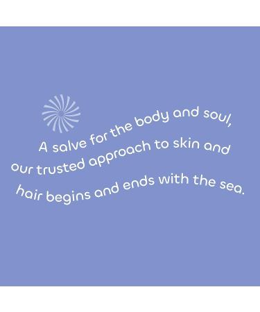 Seaweed Bath Co. Calm Body Cream with Vetiver Geranium Scent - 6 Ounce - Buy Online on GoSupps.com