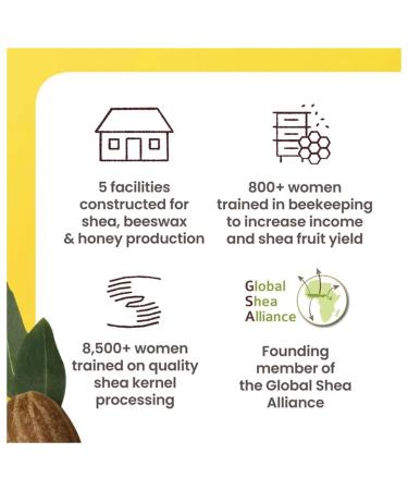 Burts Bees Shea & Coconut Oil Lip Balm 0.34 Oz - Buy Online on GoSupps.com