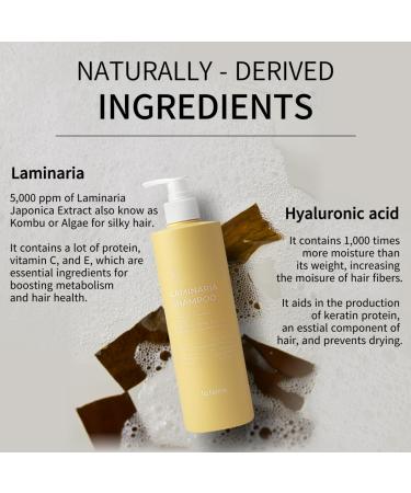 Laminaria Thickening Shampoo - Organic Sulfate & Paraben Free Moisturizes Scalp Strengthens & Hydrates Hair Pear & Freesia 16.9 Fl Oz - Dandruff Relief for Men & Women - Buy Online on GoSupps.com