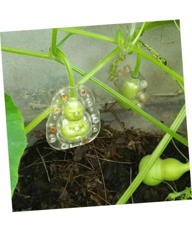 SUPVOX 5pcs Vegetable Plastic Fruit Transparent Fruit Ginseng Fruit Shaping Mini - Buy Online on GoSupps.com