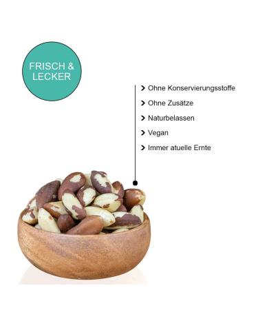 Raw Untreated Paranese Nuts - Unsalted Parannic Kernels in Reversible Packaging | 1kg & 5kg | Premium Quality | International Shipping - Buy Online on GoSupps.com