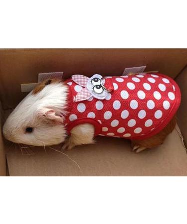 Anelekor Small Animals Christmas Costume - Santa Coat Guinea Pig Harness & Leash Set | Festive Clothes for Hamsters, Rats, Kitties & More - Red Small - Buy Online on GoSupps.com