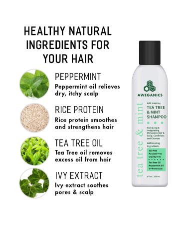 Tea Tree Mint Shampoo | Natural Aromatherapy Peppermint Hair Care | Invigorating Cooling & Moisturizing | Healthy Hair Growth | Made in the USA - Buy Online on GoSupps.com
