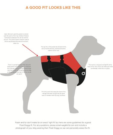 Stunt Puppy Float Dog Life Jacket - XL Red | Premium Pet Safety for Water Adventures - Buy Online on GoSupps.com