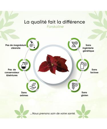 Forskolin - 120 capsules - supply for 4 months - with pill box - 2800 mg (equivalent to 35:1 forskohlii powder) - high dose - vegan - laboratory tested - Buy Online on GoSupps.com