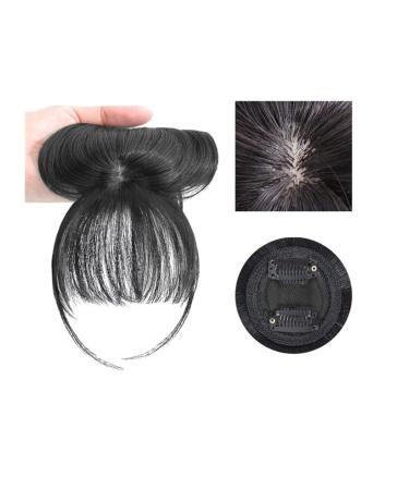 Bangs Clip in Bangs Front Synthetic 3D Air Fringe Bangs Clip in Bang Hair Extensions Straight Synthetic Hairpiece Soft Natural Hair Accessories For Women Girl for Women Curved Bangs for Daily Wear ( 1 PC C-1(2)