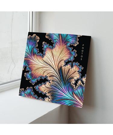 Karrma Ltd. Photo Album | 200 Pockets for 6x4 Photos | Memo Section, Stiff Padded Cover | Slip in - Black Gold Flourish - Buy Online on GoSupps.com