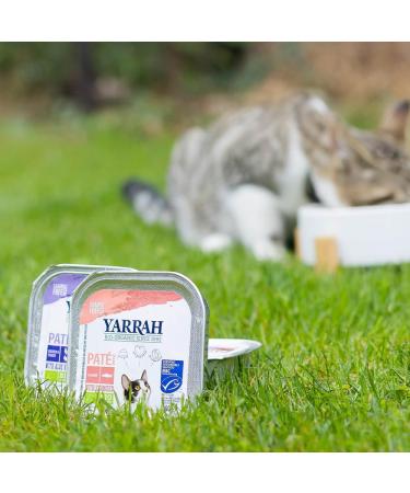 Yarrah Organic Cat Food Pate - Beef & Chicory 100g (Pack of 16) - Premium Quality International Shipping - Buy Online on GoSupps.com