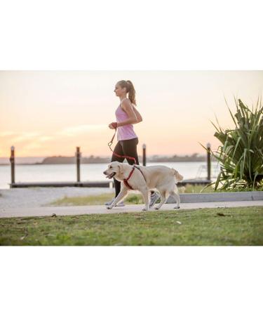 EzyDog Hands-Free Dog Leash - Black | Convenient and Comfortable - Buy Online on GoSupps.com