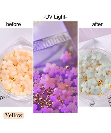 6 Boxes 3D Flower Nail Art Charms with Light Change Decals - Acrylic Nail Accessories with Pearl Golden Caviar Beads Glitter Stud Design - DIY Decoration Tips for Women - Buy Online on GoSupps.com