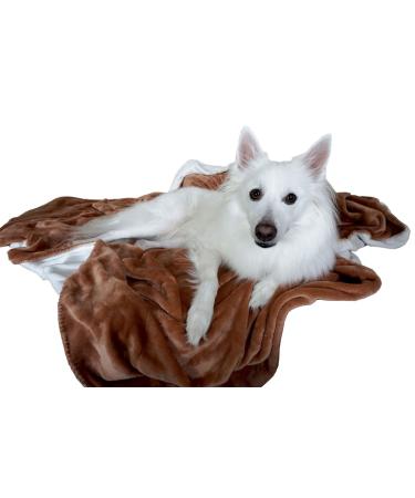 GoldenLiving168 Extra Large Super Soft Velour Pet Throw Blanket (Camel Brown/Cream)