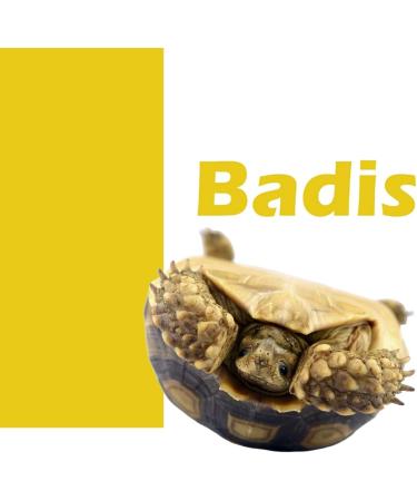 BADIS Food for Water Turtles - Stick Format 100 ML/33 g - Animal Ingredients - Pienso Multicomponent - Buy Online on GoSupps.com