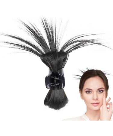 Claw Clip Messy Bun Hair Piece | Chicken Coop Meatball Hair Scratch Small Hair Claw Non Slip Hair Clips Fake Hair Clip Double Row Teeth Hair Clips Black - Buy Online on GoSupps.com