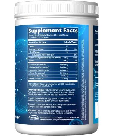 MRM Nutrition Reload BCAA+G Post-Workout Recovery| Island Fusion Flavored| 9.6g Amino Acids| with CarnoSyn®| Muscle Recovery| Keto Friendly| 26 Servings - Buy Online on GoSupps.com