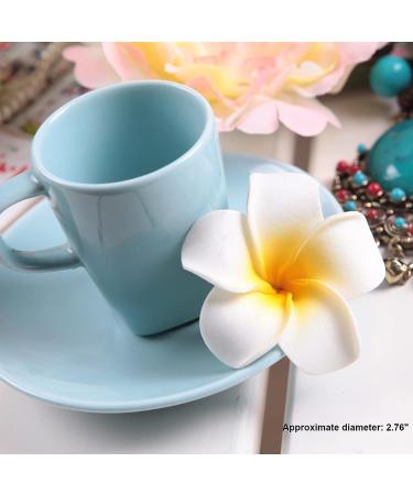 16 Pcs Plumeria Hair Clips - Multicolor Hawaiian Floral Barrettes for Women - Tropical Luau Festival Headpiece - Buy Online on GoSupps.com