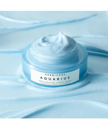 HERBIVORE Botanicals Aquarius Pore Purifying Clarity Cream - Daily Moisturizer with BHA (1.7 oz) - Buy Online on GoSupps.com