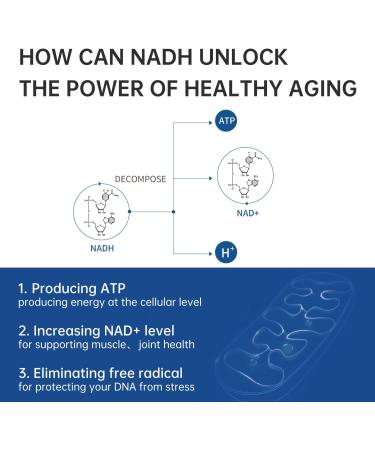 CELFULL 40mg NADH Immune Support Supplements Boost Energy NAD+ Levels Anti-Aging NAD+ for Women and Men 10 tablets - Buy Online on GoSupps.com