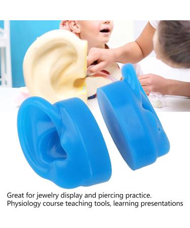 Simulated Silicone Ear Display Mould for Piercing Practice - Soft & Flexible (Large) - Buy Online on GoSupps.com