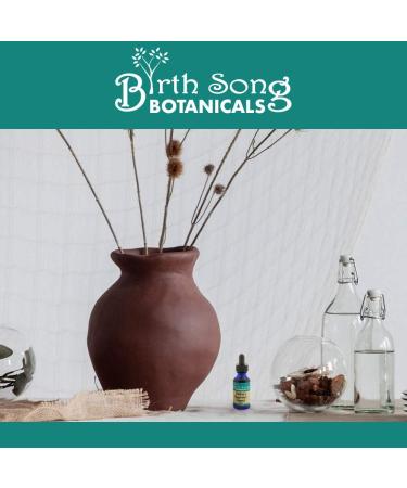Children's Respiratory Support Tincture with Elderberry - 1oz Bottle - Buy Online on GoSupps.com