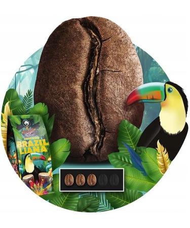  Blue Orca Coffee Blue Orca Coffee - BRAZILLIANA TOUCANO - Whole Coffee Beans from Brazil - Multi Origin - 100% Arabica 1kg - Buy Online on GoSupps.com