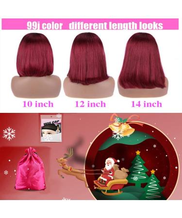 Burgundy Bob Wig Human Hair 13x4 Straight 12 Inch Lace Front | Pre Plucked with Baby Hair | Wine Red Short Bob Wig | Glueless Transparent Lace Frontal Wig for Women - Buy Online on GoSupps.com