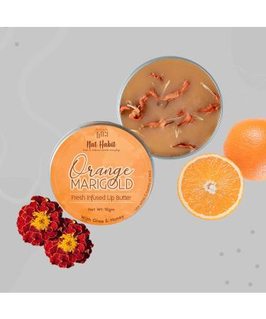 Buy Orange Marigold Lip Balm - Ayurvedic Natural Lip Care for Dark Lips Ghee Raw Honey Shea & Vitamin E - 10gm - Buy Online on GoSupps.com